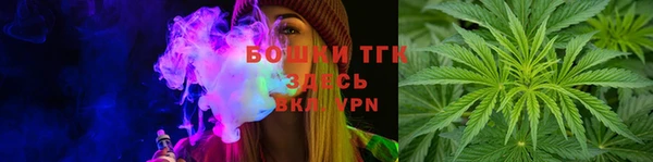 шишки Абинск