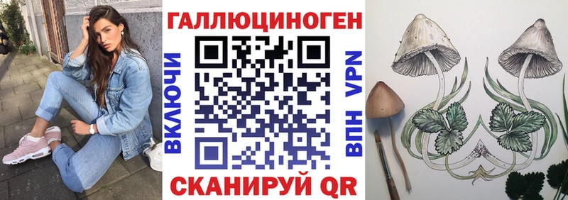 Галлюциногенные грибы Psilocybe  Орск 